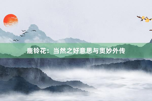 鹿铃花：当然之好意思与奥妙外传