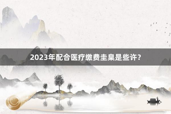 2023年配合医疗缴费圭臬是些许？