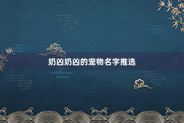奶凶奶凶的宠物名字推选