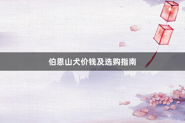 伯恩山犬价钱及选购指南